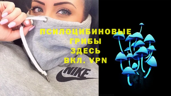 гидропоника Абаза