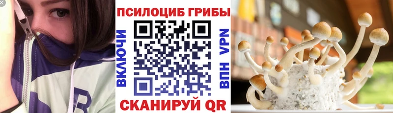 гидра ТОР Кимовск Галлюциногенные грибы мицелий как найти закладки